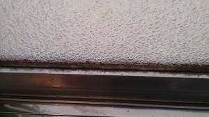 カビ汚れパッキン