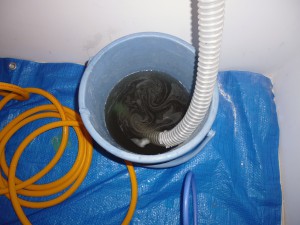 汚水