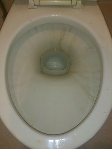 トイレクリーニング施工前