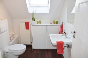 2トイレお掃除素材