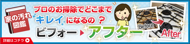 ビフォーアフター