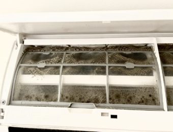 エアコンフィルターで繁殖した黒カビ