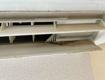 エアコンルーバーにカビが付着している