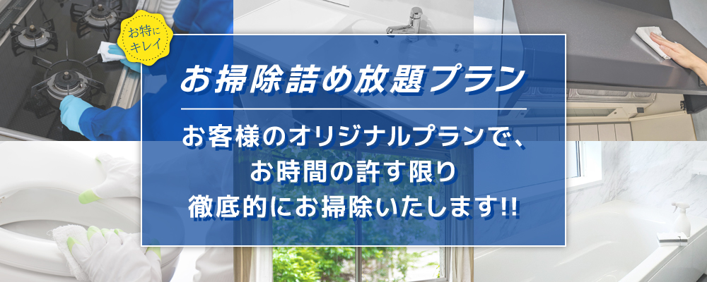 お掃除詰め放題人気プラン