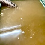 換気扇ファンを洗剤につけている