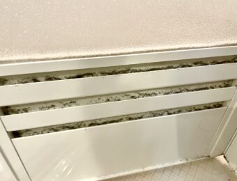 浴室ドアに詰まったホコリと黒カビ