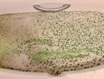 追炊き配管洗浄中の汚れが付着した泡