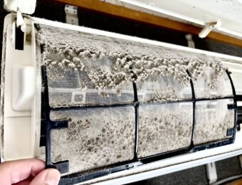 エアコンフィルターで繁殖した黒カビ