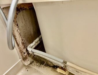 黒カビが大量に発生したエプロン内部