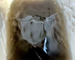 エアコンクリーニングで出た黒い汚水