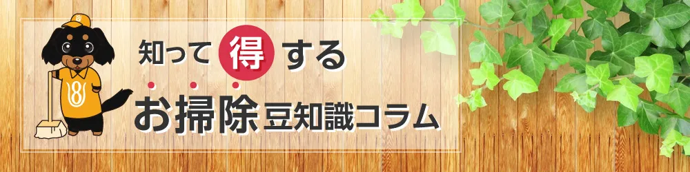 知って得するお掃除豆知識コラム