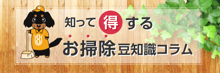 知って得するお掃除豆知識コラム