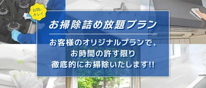 キッチンやお風呂など時間制のお掃除詰め放題セット