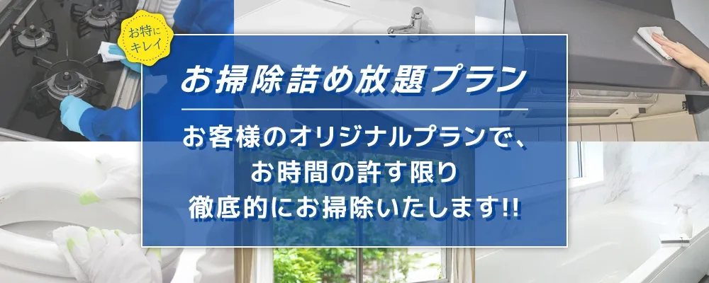 お掃除詰め放題プラン