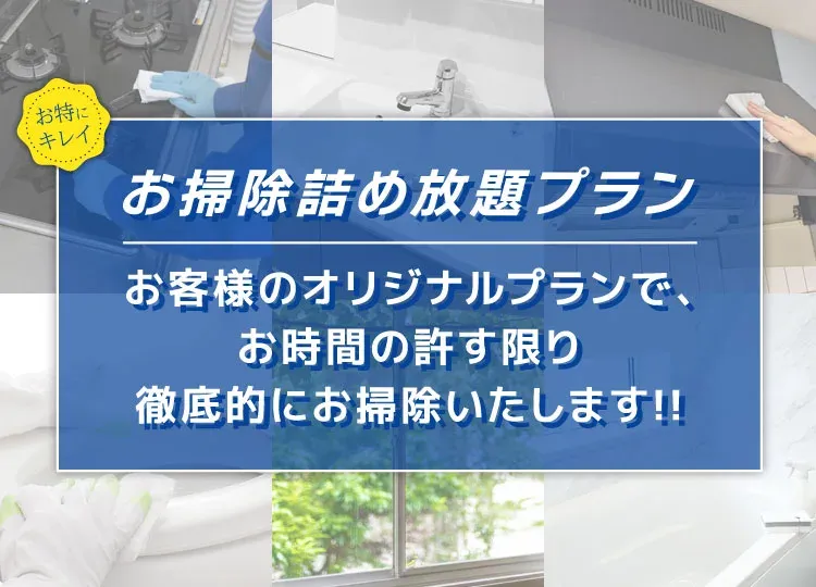 お掃除詰め放題プラン