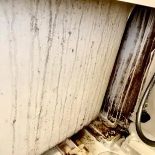 戸塚区の浴室エプロン内部クリーニング事例施工前