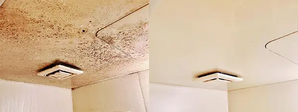 つめ放題お掃除事例2