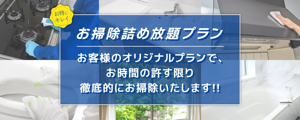 お掃除詰め放題プラン